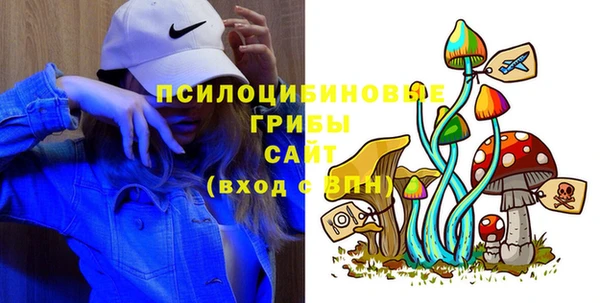 амф Дмитровск