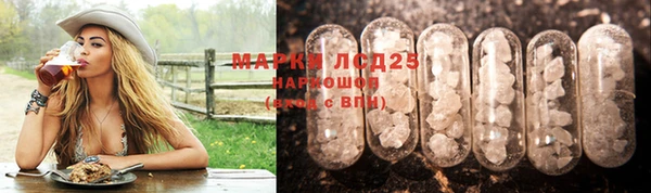 меф Дмитриев