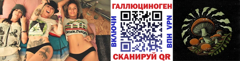 Купить где  Шлиссельбург  Псилоцибиновые грибы Magic Shrooms 